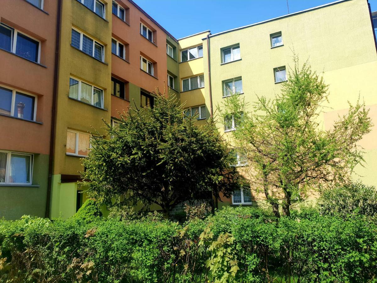 Apartament 바우브자이치 외부 사진